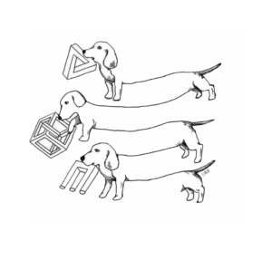 Three dachshunds with impossible objects in mouths.