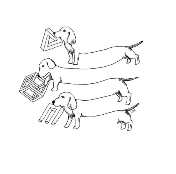 Three dachshunds with impossible objects in mouths.